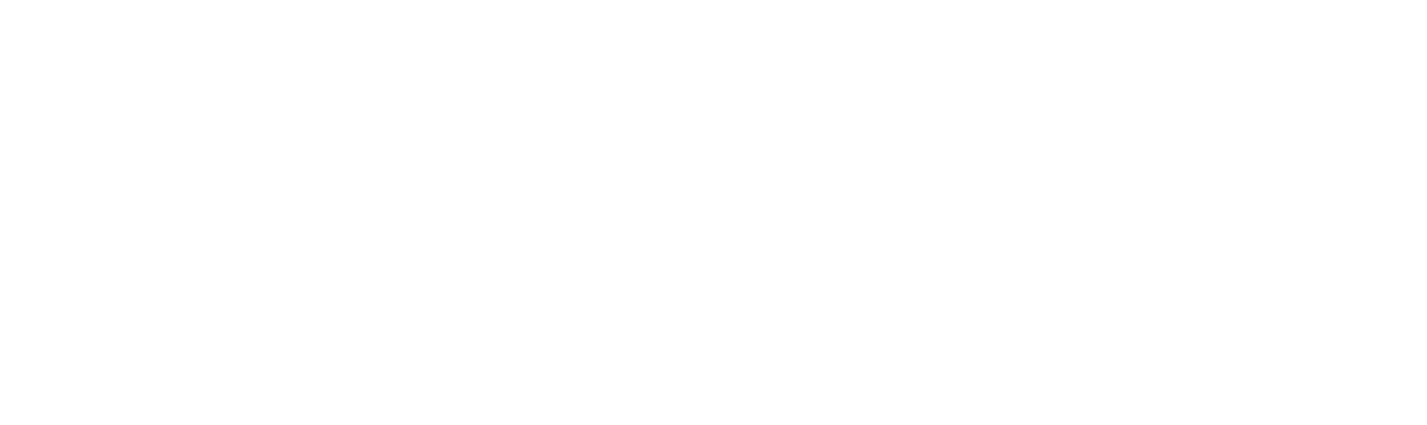 CaelumNex